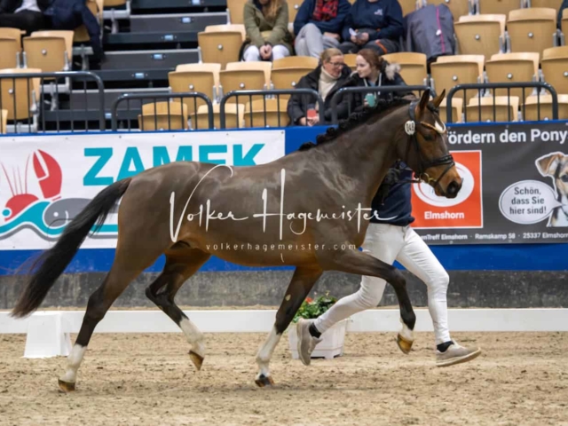 Impressionen PSB Samstag unsortiert 8