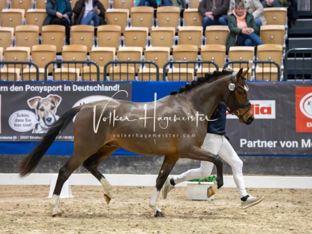 Impressionen PSB Samstag unsortiert 9