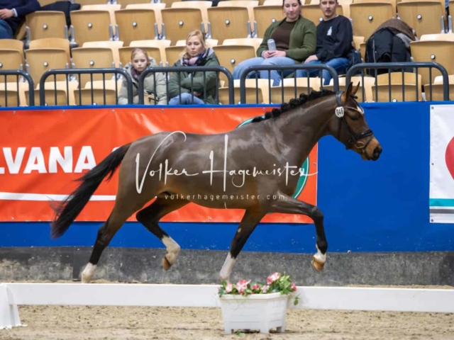 Impressionen PSB Samstag unsortiert 10