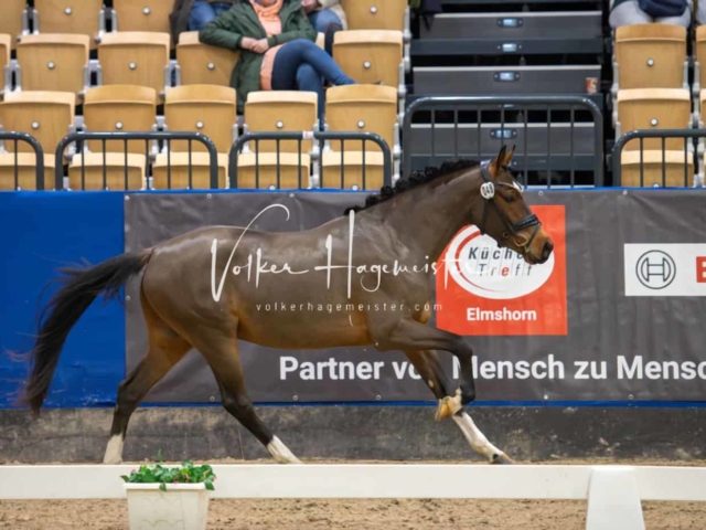 Impressionen PSB Samstag unsortiert 11