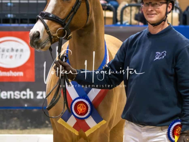 PSB Körung Schärpenträger 5