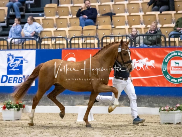 Impressionen PSB Samstag unsortiert 12