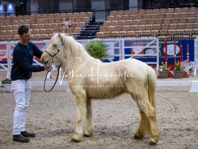 Impressionen PSB Samstag unsortiert 14