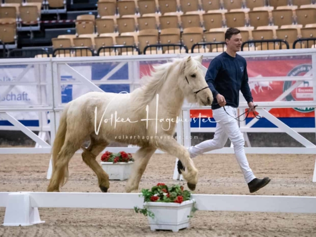 Impressionen PSB Samstag unsortiert 15