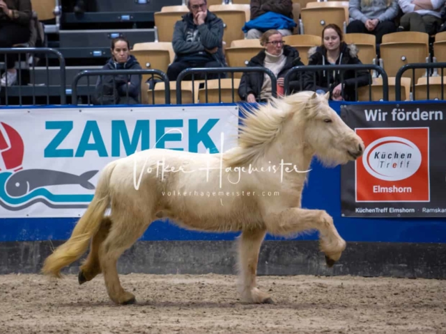 Impressionen PSB Samstag unsortiert 16