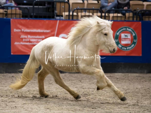 Impressionen PSB Samstag unsortiert 17