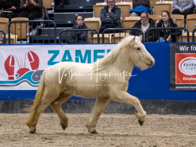 Impressionen PSB Samstag unsortiert 18