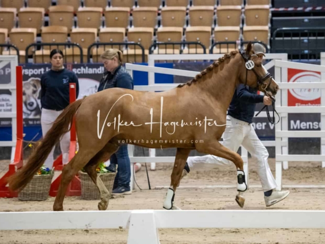 Impressionen PSB Samstag unsortiert 22