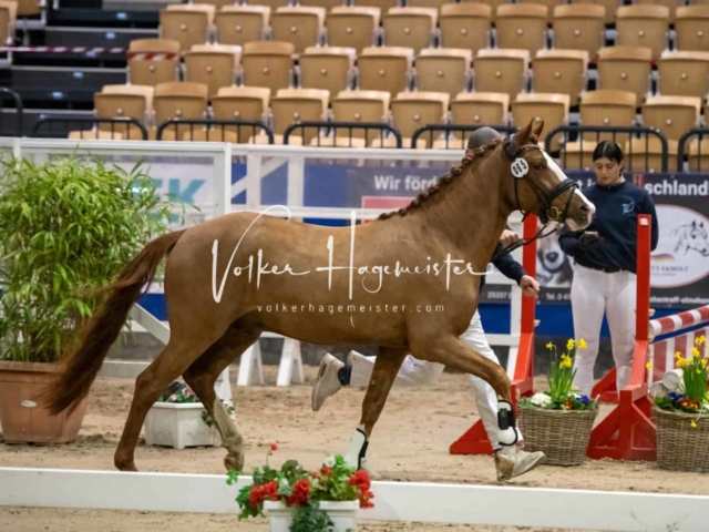 Impressionen PSB Samstag unsortiert 23