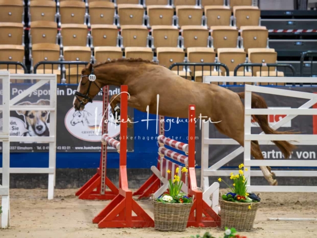 Impressionen PSB Samstag unsortiert 24