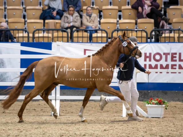 Impressionen PSB Samstag unsortiert 26