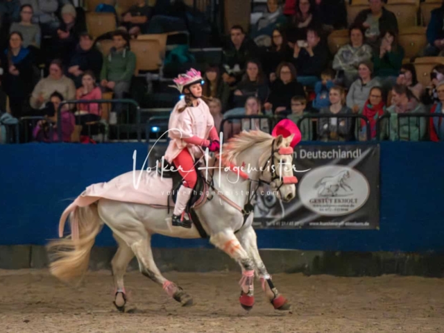 PSB Schaunachmittag 12