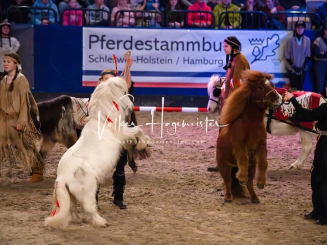 PSB Schaunachmittag 17