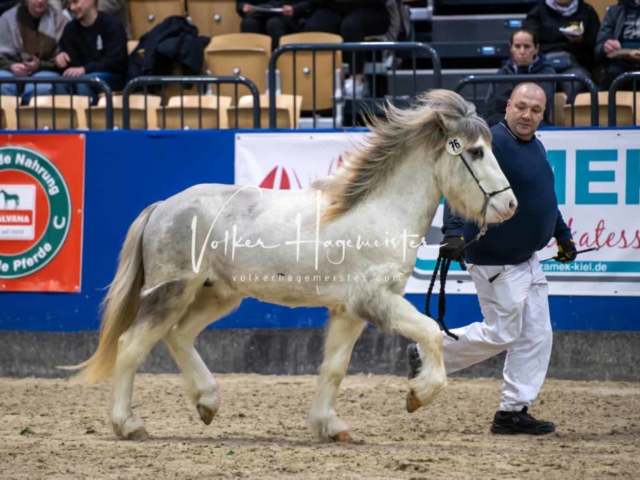 Impressionen PSB Samstag unsortiert 19