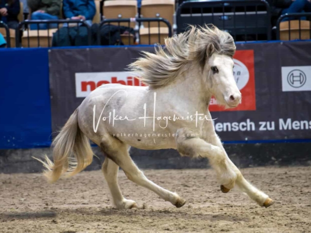 Impressionen PSB Samstag unsortiert 20