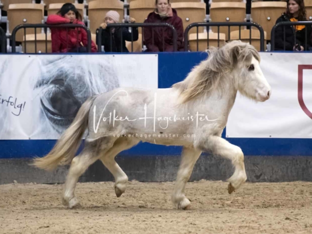Impressionen PSB Samstag unsortiert 21