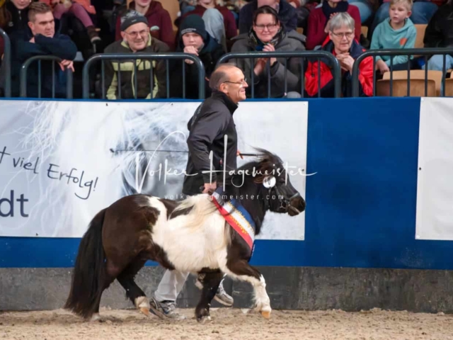 PSB Körung Schärpenträger 20