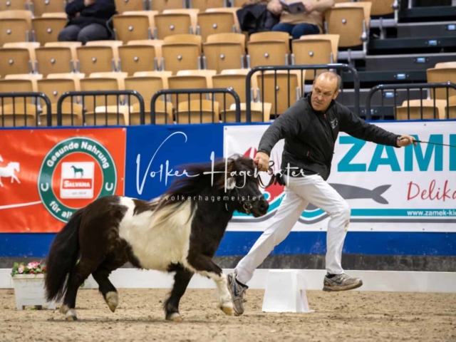 PSB Körung Schärpenträger 21
