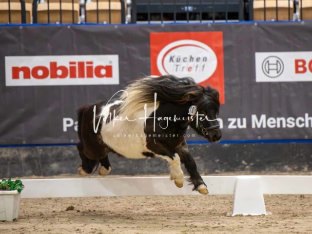 PSB Körung Schärpenträger 22