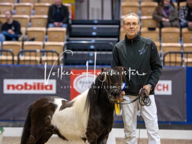 PSB Körung unsortiert Teil 1 15