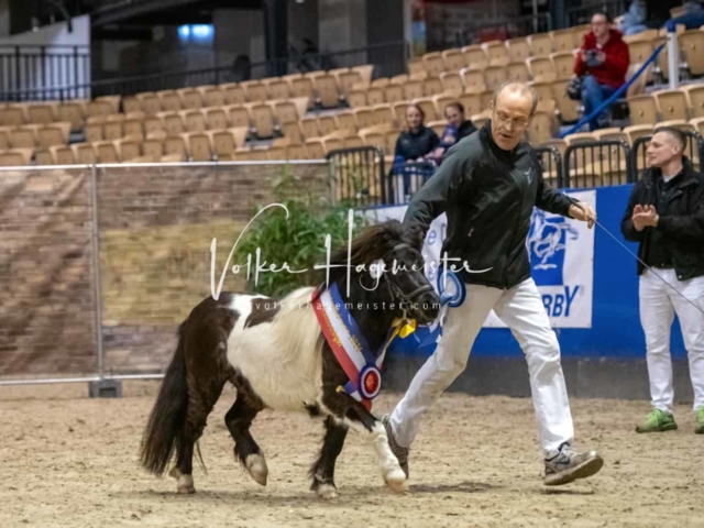 PSB Körung Schärpenträger 24