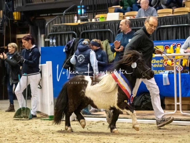 PSB Körung Schärpenträger 25