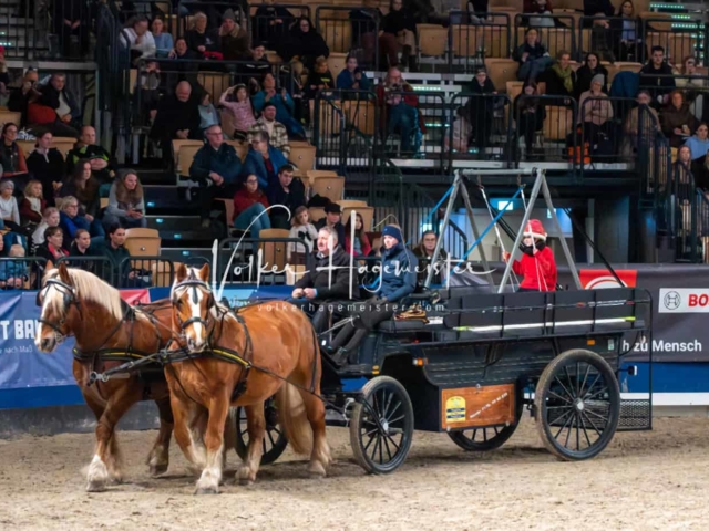 PSB Schaunachmittag 24