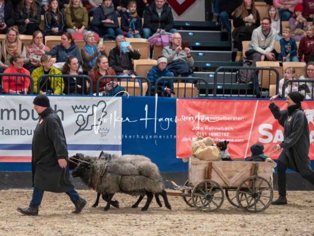 PSB Schaunachmittag 26