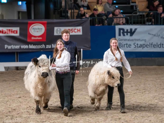 PSB Schaunachmittag 27