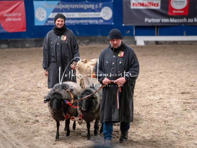 PSB Schaunachmittag 28