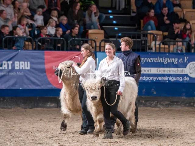 PSB Schaunachmittag 29