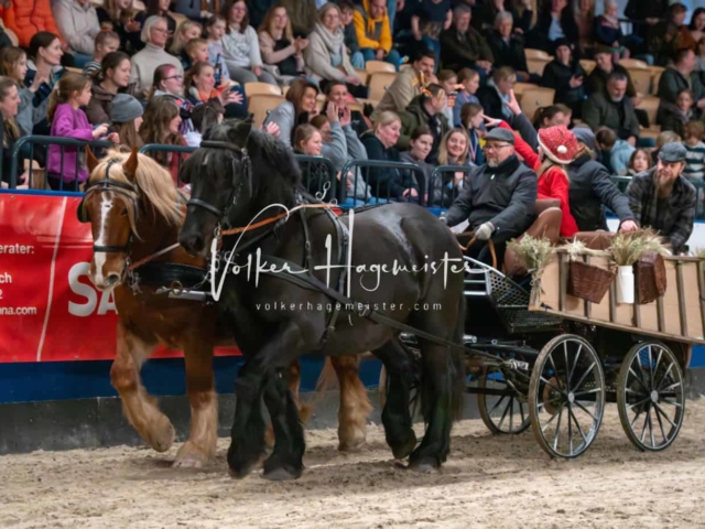 PSB Schaunachmittag 30