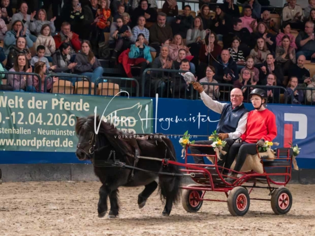 PSB Schaunachmittag 1