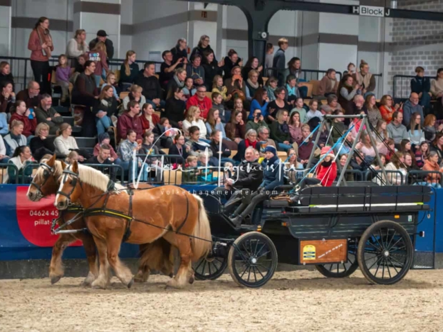 PSB Schaunachmittag 18