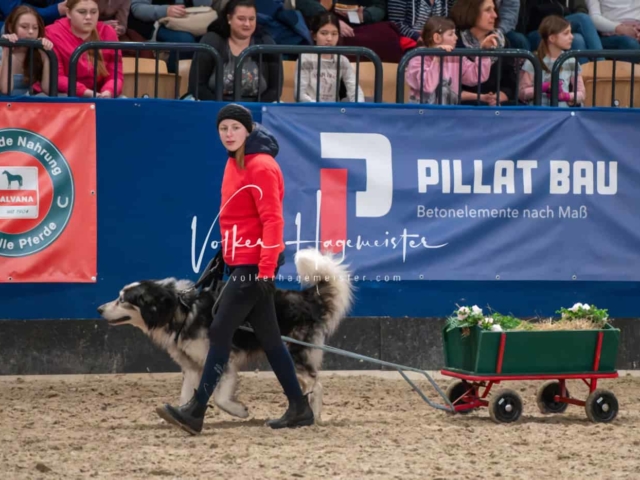 PSB Schaunachmittag 19