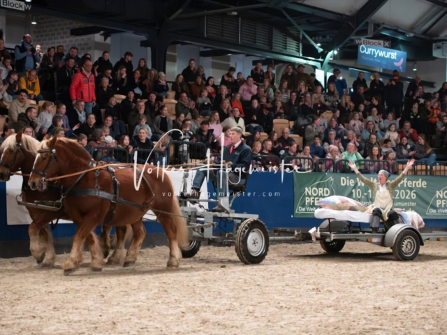 PSB Schaunachmittag 20