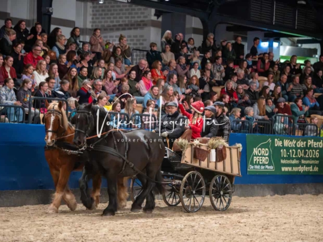 PSB Schaunachmittag 21