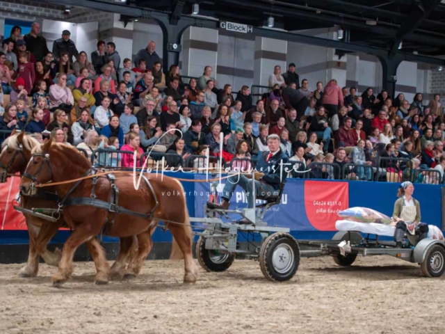 PSB Schaunachmittag 22