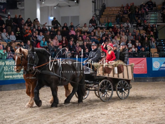 PSB Schaunachmittag 23