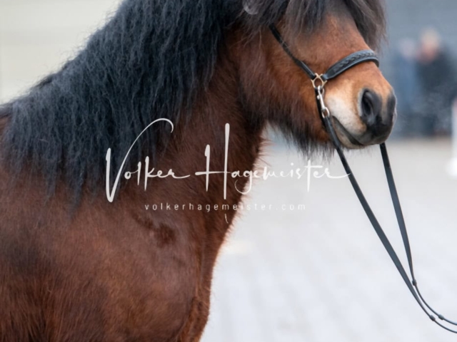 Impressionen PSB Samstag unsortiert 22