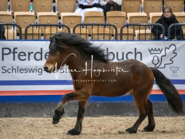 Impressionen PSB Samstag unsortiert 23