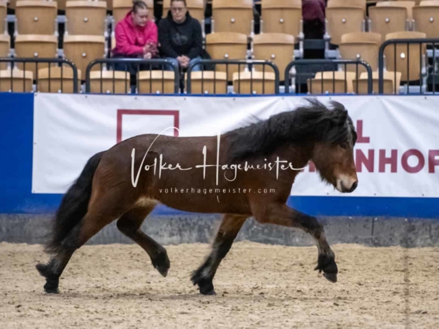 Impressionen PSB Samstag unsortiert 24