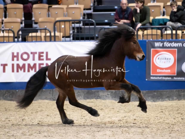 Impressionen PSB Samstag unsortiert 25