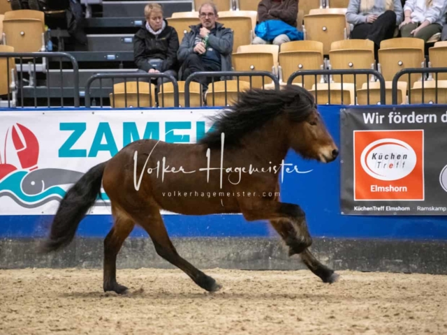 Impressionen PSB Samstag unsortiert 26