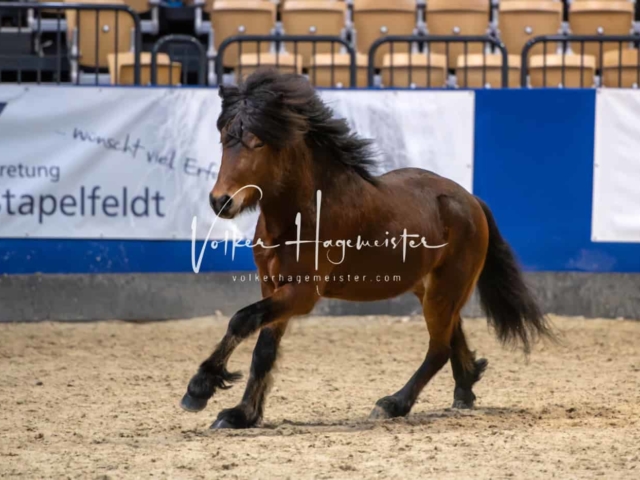 Impressionen PSB Samstag unsortiert 29