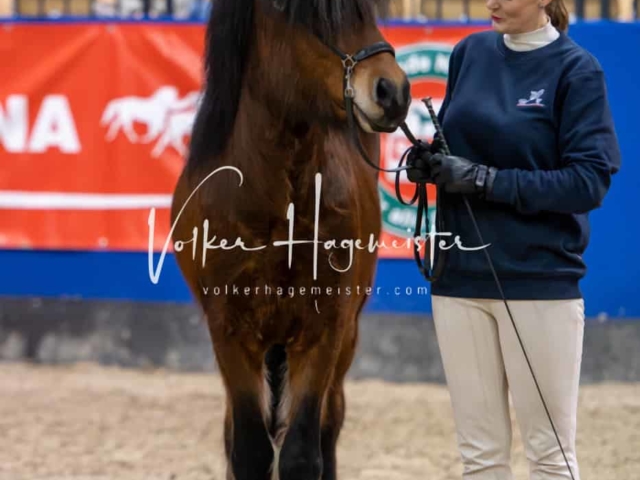 Impressionen PSB Samstag unsortiert 30