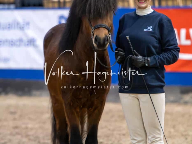 Impressionen PSB Samstag unsortiert 1