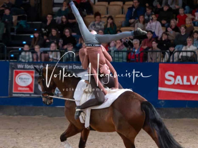 PSB Schaunachmittag 3