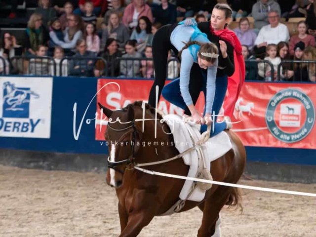 PSB Schaunachmittag 4