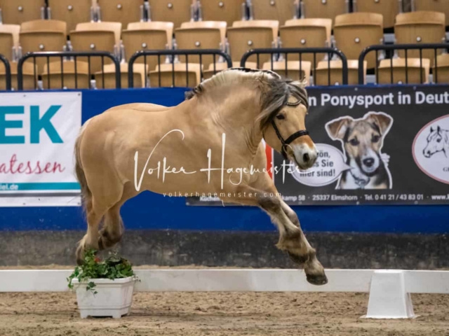 Impressionen PSB Samstag unsortiert 2